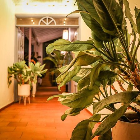 Aura Hotel Parque Barichara By Infinity Zewnętrze zdjęcie