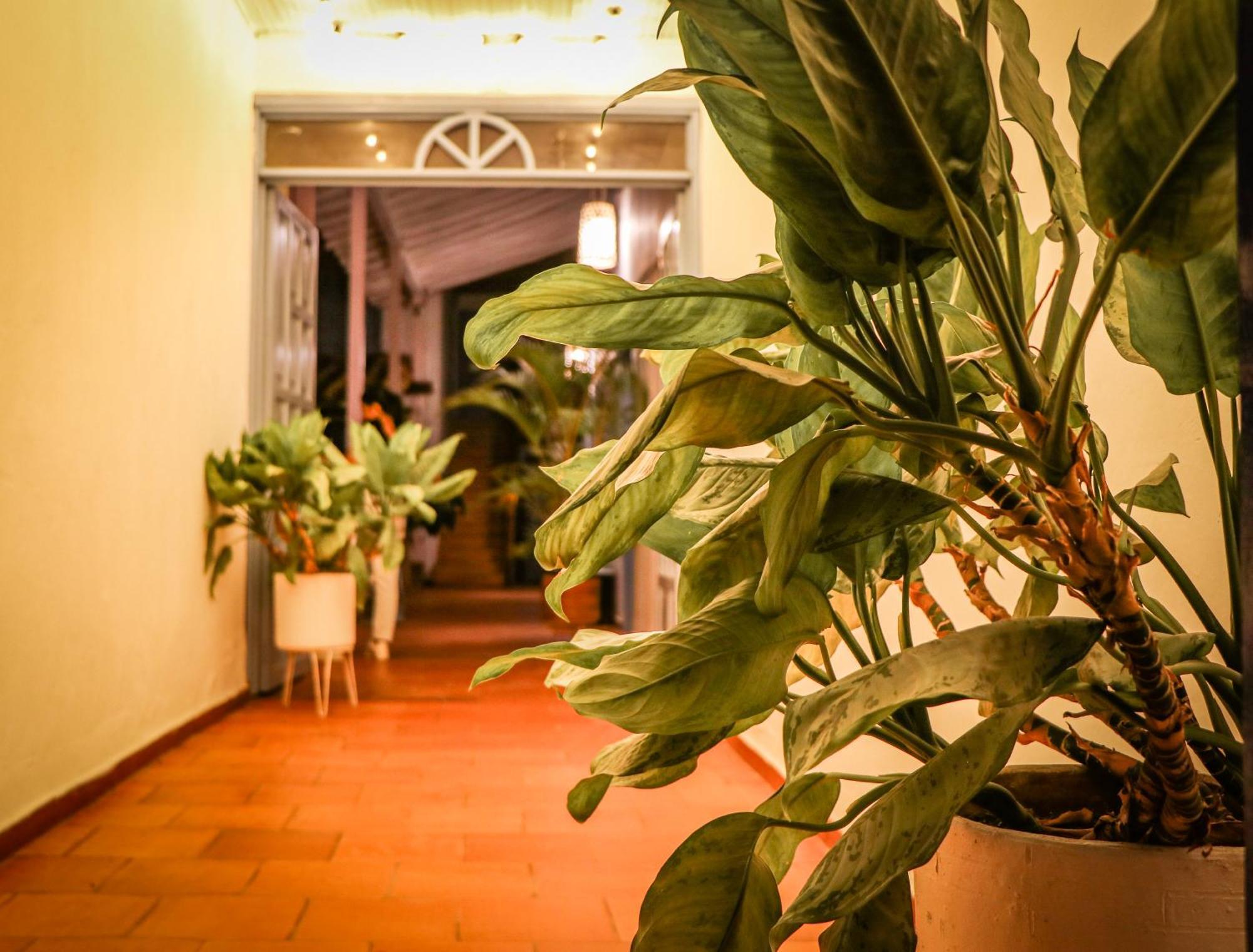 Aura Hotel Parque Barichara By Infinity Zewnętrze zdjęcie